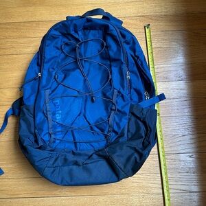 Patagonia backpack 30L